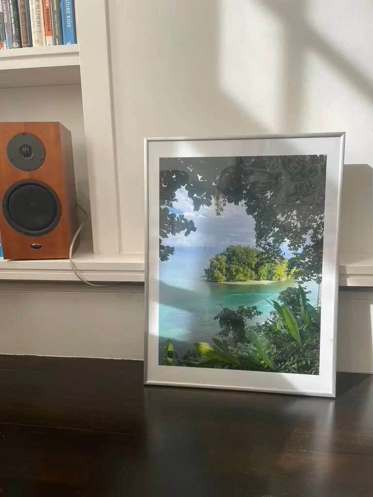 VD - Monkey Island, Jamaica (2021) Loud Youth Projects | Premium Art Prints