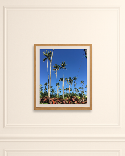 Enroute to Portland Jamaica - 45cm x 60cm / Print only - C-Type