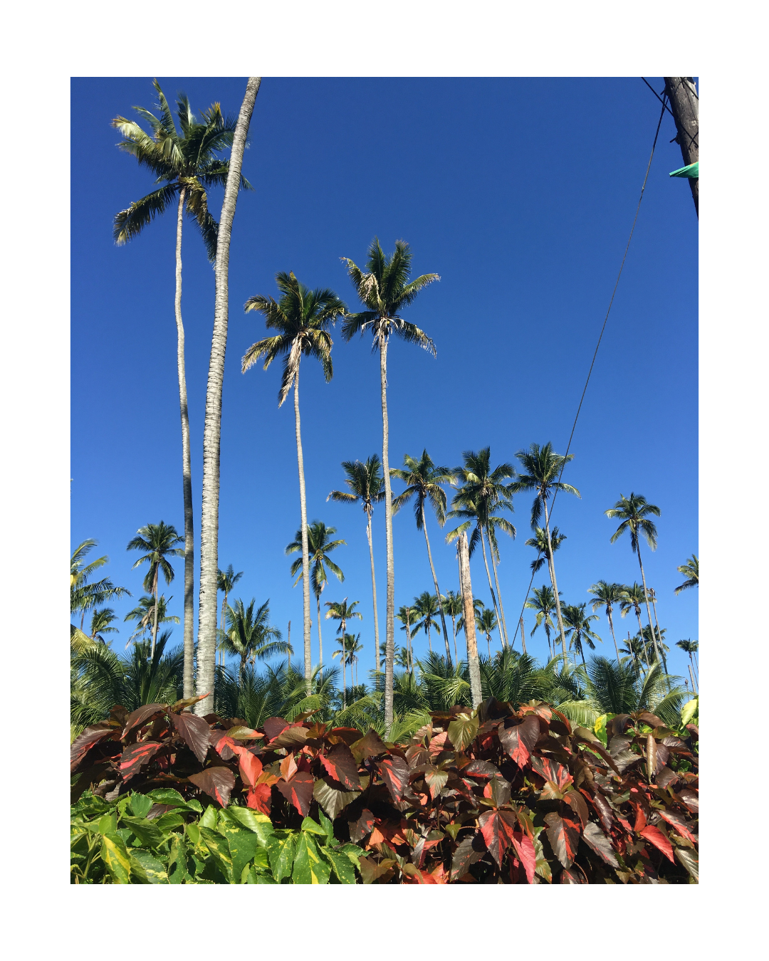 Enroute to Portland Jamaica - 45cm x 60cm / Print only - C-Type