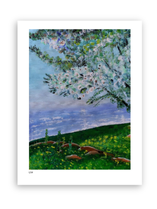 Reflections In Bloom I - 30cm x 40cm / Print only - Giclée