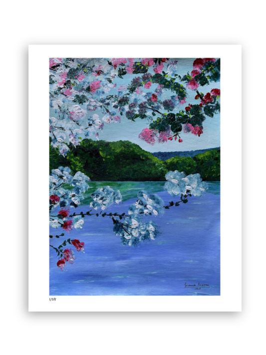 Reflections In Bloom II - 30cm x 40cm / Print only - Giclée